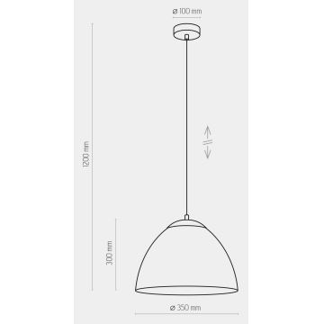 Luster na sajli FARO 1xE27/60W/230V crna