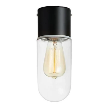 Markslöjd 107796 - Stropna svjetiljka za kupaonicu ZEN 1xE27/15W/230V IP44