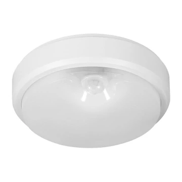 Müller-Licht - LED Vanjska stropna svjetiljka sa senzorom PICTOR LED/8W/230V IP54