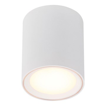 Nordlux - LED Reflektorska svjetiljka FALLON LONG LED/5,5W/230V bijela