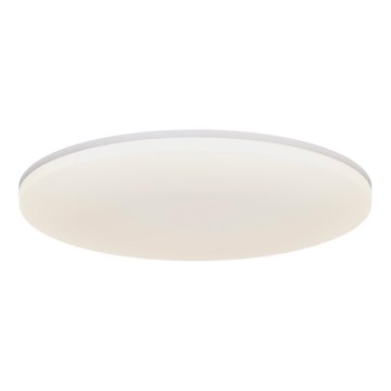 Nordlux - LED Stropna svjetiljka VIC LED/24W/230V IP40