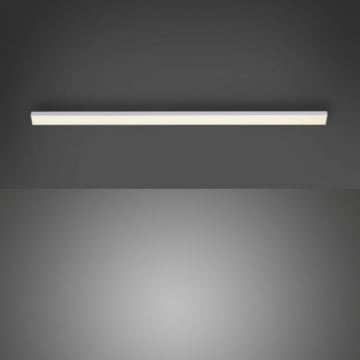 Paul Neuhaus 1125-21-A - LED Proširujuća podelementna svjetiljka AMON LED/6W/12/230V