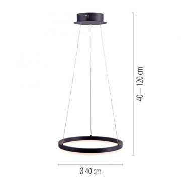 Paul Neuhaus 2381-13 - LED Prigušivi luster na sajli TITUS LED/28W/230V