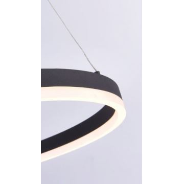 Paul Neuhaus 2382-13 - LED Prigušivi luster na sajli TITUS LED/38,5W/230V