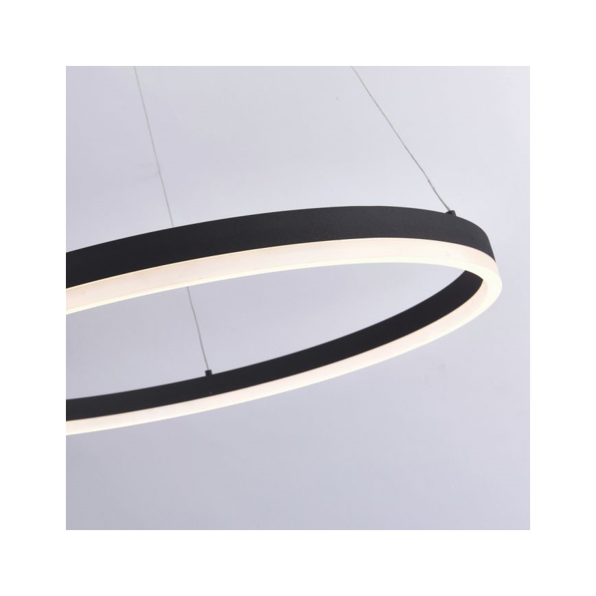 Paul Neuhaus 2383-13 - LED Prigušivi luster na sajli TITUS LED/50W/230V