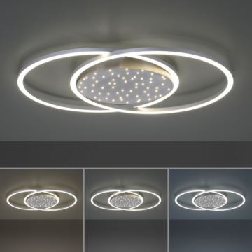 Paul Neuhaus 6025-55 - LED Prigušiva stropna svjetiljka YUKI LED/48W/230V + daljinski upravljač