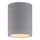 Paul Neuhaus 6160-22 - Reflektorska svjetiljka ETON 1xGU10/10W/230V beton
