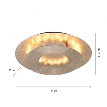 Paul Neuhaus 9011-12 - LED Stropna svjetiljka NEVIS LED/6W/230V zlatna