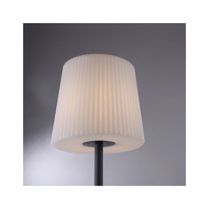 Paul Neuhaus 9501-13 - Vanjska podna lampa FALTER 1xE27/25W/230V IP65
