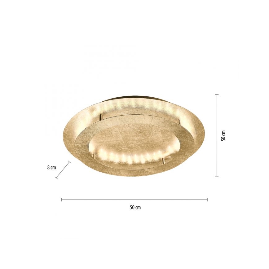 Paul Neuhaus 9621-12 - LED Stropna svjetiljka NEVIS LED/24W/230V