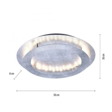 Paul Neuhaus 9621-21 - LED Stropna svjetiljka NEVIS LED/24W/230V