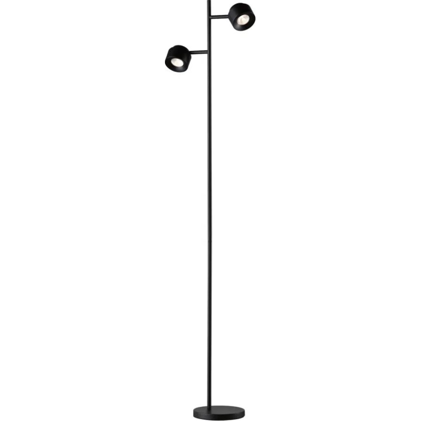 Paulmann 79775 - 2xLED/3W Prigušiva podna lampa PURIK PANE 230V