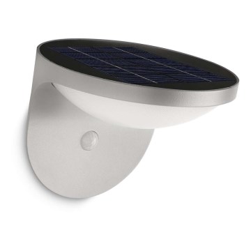 Philips 17808/87/16 - LED Solarna svjetiljka sa senzorom MYGARDEN DUSK 1xLED/1W/3,7V