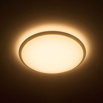 Philips - LED stropna svjetiljka 1xLED/17W/230V