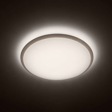 Philips - LED stropna svjetiljka 1xLED/17W/230V