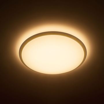 Philips - LED stropna svjetiljka 1xLED/36W/230V