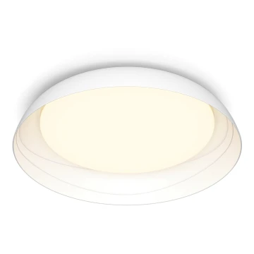 Philips - LED Prigušiva stropna svjetiljka FLETA LED/10W/230V 2700K bijela