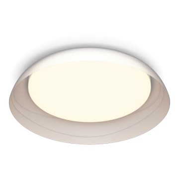 Philips - LED Prigušiva stropna svjetiljka FLETA LED/10W/230V 2700K prozirna