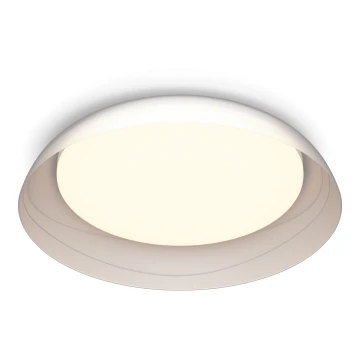 Philips - LED Prigušiva stropna svjetiljka FLETA LED/10W/230V 2700K prozirna