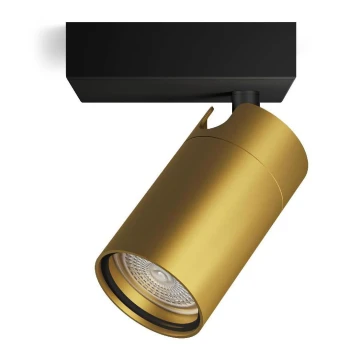 Philips - Reflektorska svjetiljka za kupaonicu IDRIS 1xGU10/5W/230V IP44 crna/zlatna