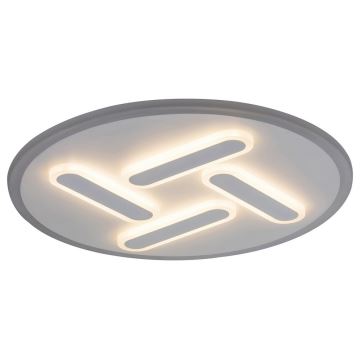 Rabalux - LED stropna svjetiljka za prigušivanje LED/36W/230V