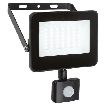 Rabalux - LED Reflektor sa senzorom LED/30W/230V 4000K IP44 crna