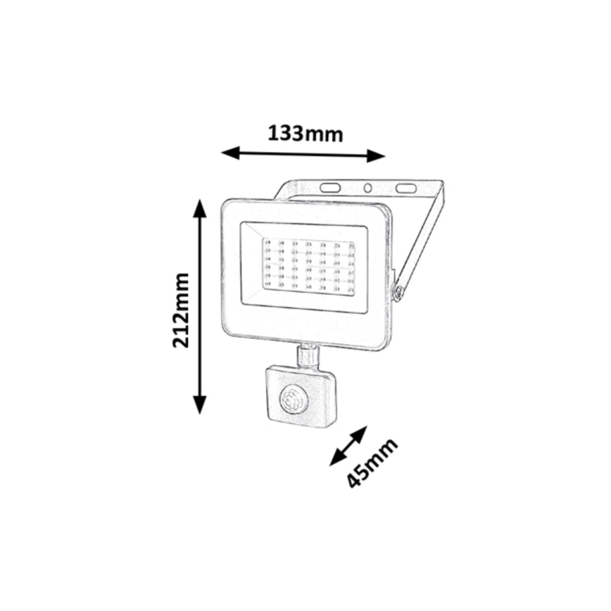 Rabalux - LED Reflektor sa senzorom LED/30W/230V 4000K IP44 crna