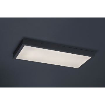 Rabalux - LED Nadgradni panel LED/24W/230V 4000K 60x30 cm