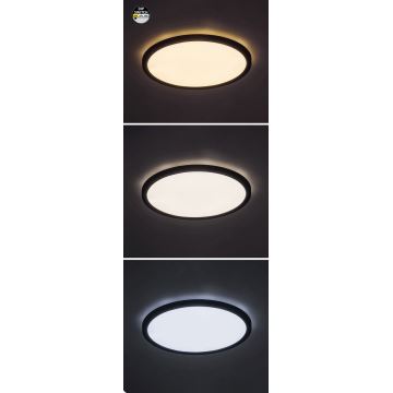 Rabalux - LED Stropna svjetiljka LED/24W/230V 3000/4000/6000K pr. 29 cm crna