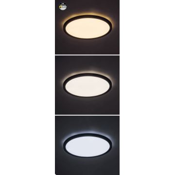 Rabalux - LED Stropna svjetiljka LED/36W/230V 3000/4000/6000K pr. 50 cm crna