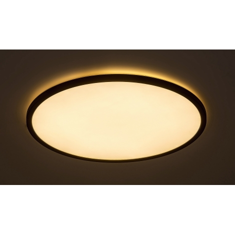 Rabalux - LED Prigušiva stropna svjetiljka LED/22W/230V 3000K 42 cm