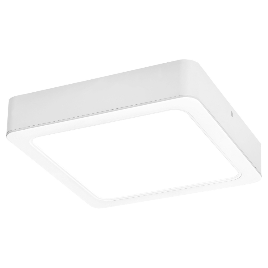 Rabalux - LED Stropna svjetiljka LED/15W/230V 4000K 16x16 cm bijela