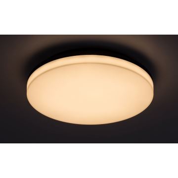 Rabalux - LED Stropna svjetiljka za kupaonicu LED/24W/230V IP54