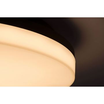 Rabalux - LED Stropna svjetiljka za kupaonicu LED/24W/230V IP54