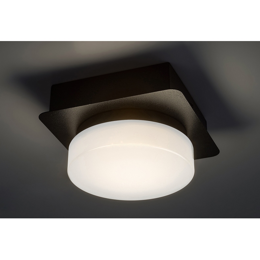 Rabalux - LED Stropna kupaonska svjetiljka LED/5W/230V IP44 4000K crna