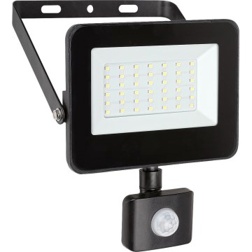 Rabalux - LED Reflektor sa senzorom LED/30W/230V 4000K IP44 crna