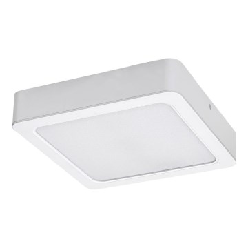 Rabalux - LED Stropna svjetiljka LED/15W/230V 3000K 16x16 cm bijela