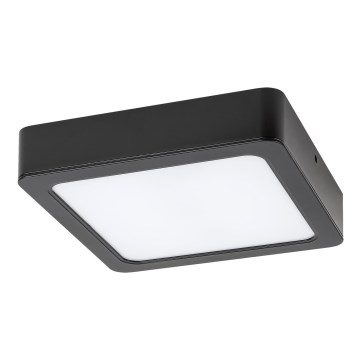 Rabalux - LED Stropna svjetiljka LED/15W/230V 4000K 16x16 cm crna