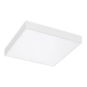 Rabalux - LED Stropna svjetiljka LED/24W/230V 3000-6000K IP44 bijela