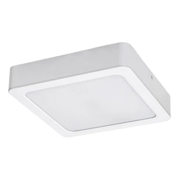 Rabalux - LED Stropna svjetiljka LED/24W/230V 3000K 22x22 cm bijela