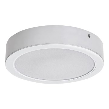 Rabalux - LED Stropna svjetiljka LED/24W/230V 4000K pr. 22 cm bijela