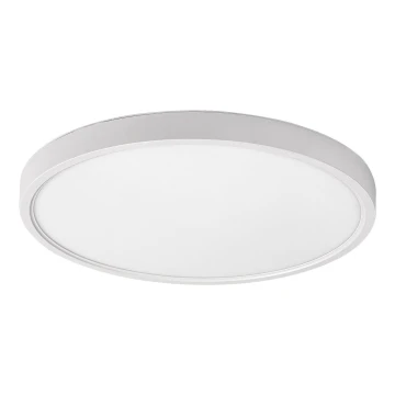 Rabalux - LED Stropna svjetiljka LED/24W/230V 4000K pr. 30 cm bijela