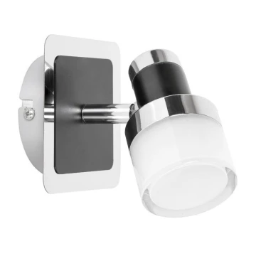 Rabalux - LED Zidna reflektorska svjetiljka LED/5W/230V IP44