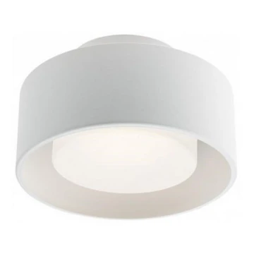 Redo 01-3096 - LED Stropna svjetiljka PUNKT LED/6W/230V bijela