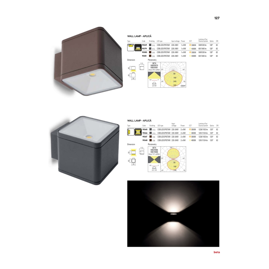 Redo 9065 - LED Vanjska zidna svjetiljka BETA 2xLED/6W/230V IP54