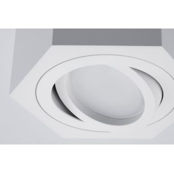 Reflektorska svjetiljka ARENO 1xGU10/30W/230V bijela