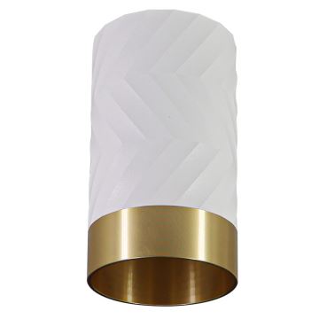 Reflektorska svjetiljka ARRAS 1xGU10/10W/230V bijela