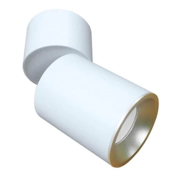 Reflektorska svjetiljka ASTRA 1xGU10/10W/230V bijela/zlatna