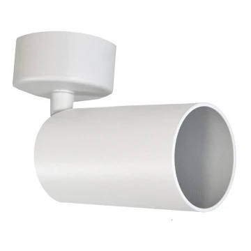 Reflektorska svjetiljka FARGO 1xGU10/30W/230V bijela