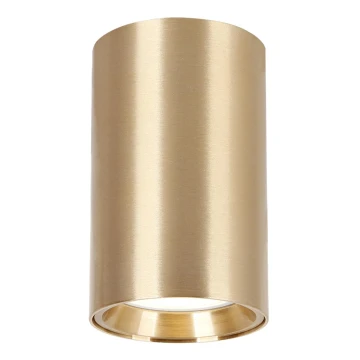 Reflektorska svjetiljka GENESIS 1xGU10/8W/230V 10 cm zlatna